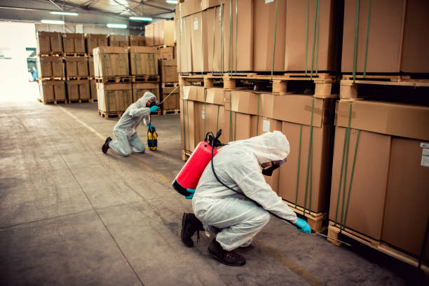 Best Flea Control Services  in Gillette, WY