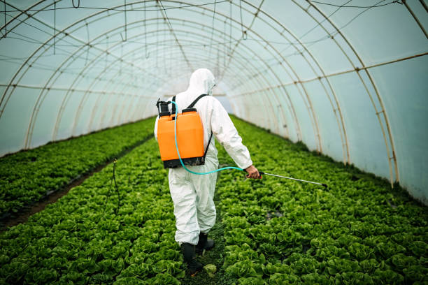 Best Pest Control for Restaurants  in Gillette, WY