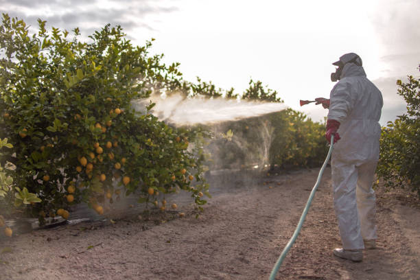 Best Insect Control  in Gillette, WY