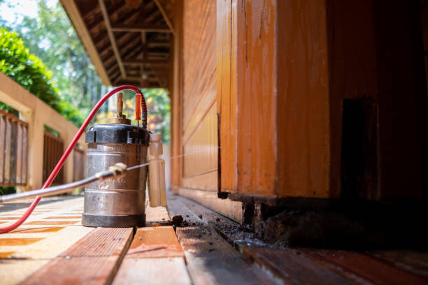 Best Pest Removal Services  in Gillette, WY
