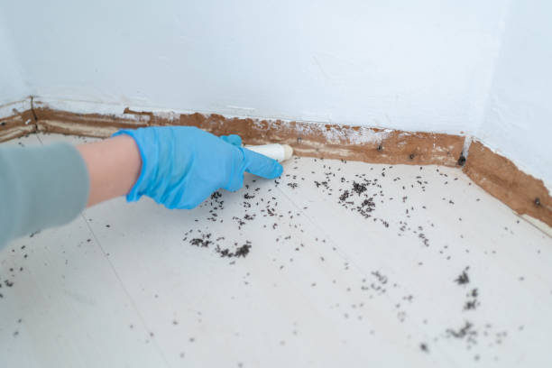 Pest Prevention Services in Gillette, WY